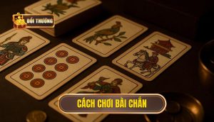 cách chơi bài chắn